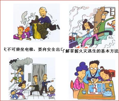 ��������T�S�����DƬ